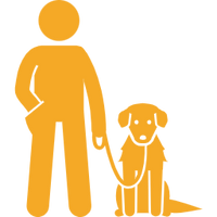 Expert Care at Home